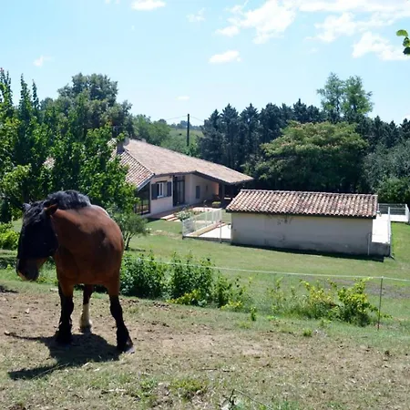 公寓 Room- Spa- Escale Amoureuse Puygaillard-de-Quercy